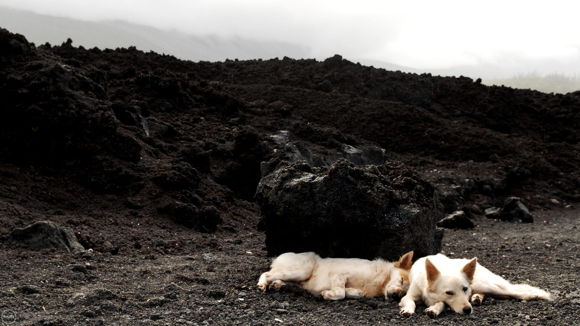 Roullix travel photo — 110521 REU 008